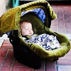 Hawkslee Whole Caboodle