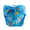 Swimwear Board Short Trunks Cartoon Toddler Infant Reusable Swim Diapers for Unisex Baby, F