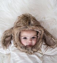 Hound Dog (Options: Large)