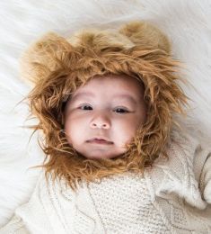 Lion (Options: Large)