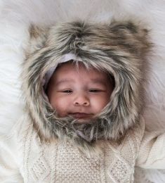 Grizzly Bear (Options: Large)