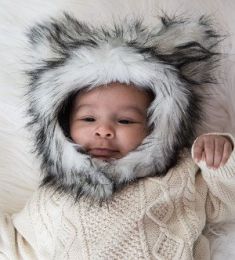 Wolf (Options: Medium)